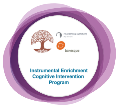 Instrumental Enrichment Cognitive Intervention Program